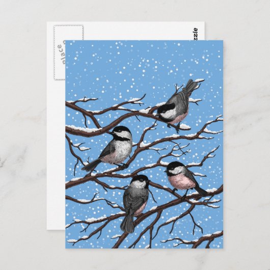 Carte Postale Les poulets en hiver (Devant / Derrière)