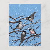 Carte Postale Les poulets en hiver (Devant)