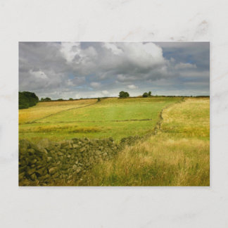 Carte Postale Les prairies et les murs