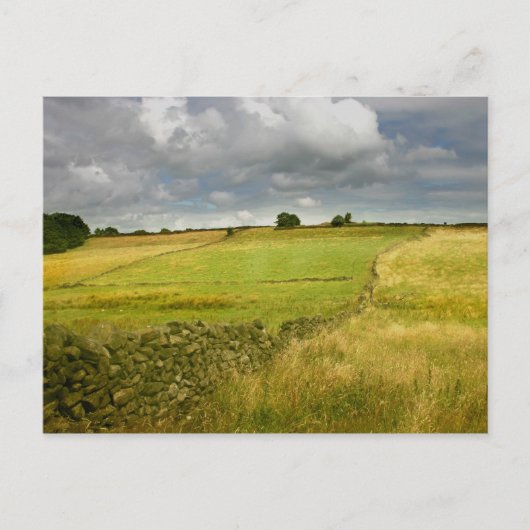 Carte Postale Les prairies et les murs (Devant)