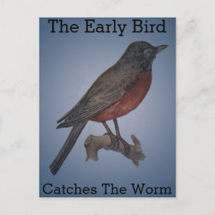 Carte Postale Les Premiers Oiseaux Attrapent Le Ver