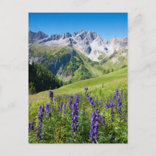 Carte Postale Les prés d'été avec le mokshood au premier plan, l