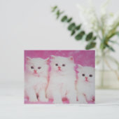 Carte Postale Les prochains grands modèles américains (Debout devant)