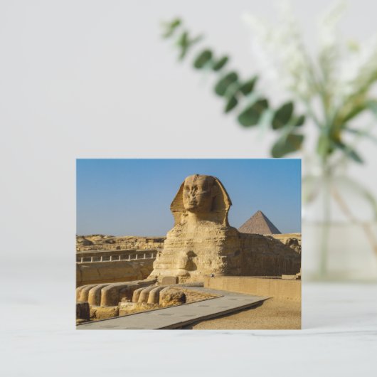 Carte Postale Les Pyramides de Gizeh Post (Debout devant)