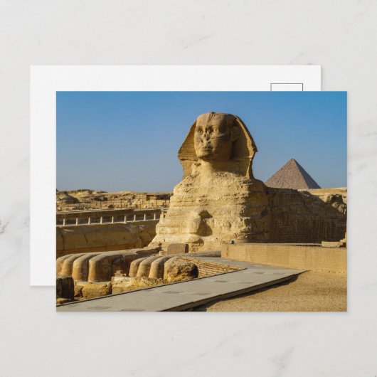 Carte Postale Les Pyramides de Gizeh Post (Devant / Derrière)