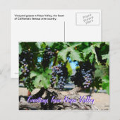 Carte Postale Les raisins de Napa sur la vigne (Devant / Derrière)