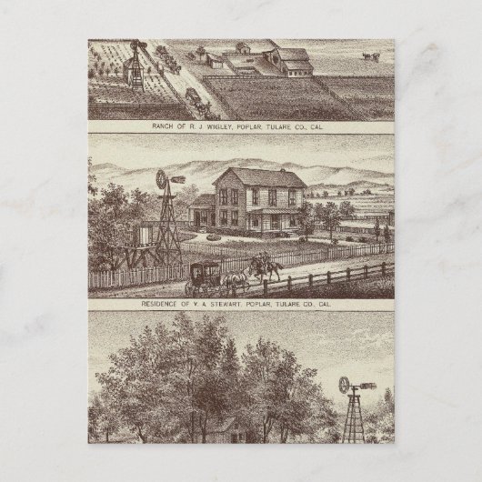 Carte Postale Les ranchs du peuplier (Devant)