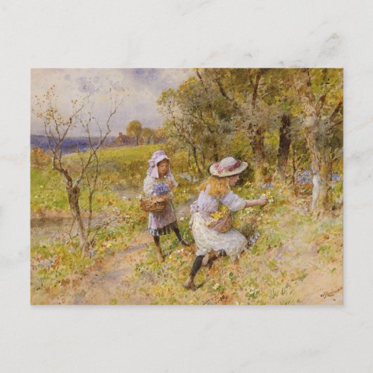 Carte Postale Les Rassembleurs Primrose (Devant)
