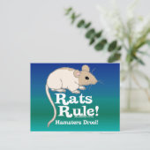Carte Postale Les rats régnent ! (Debout devant)