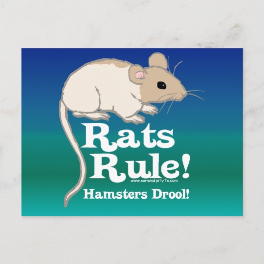 Carte Postale Les rats régnent ! (Devant)