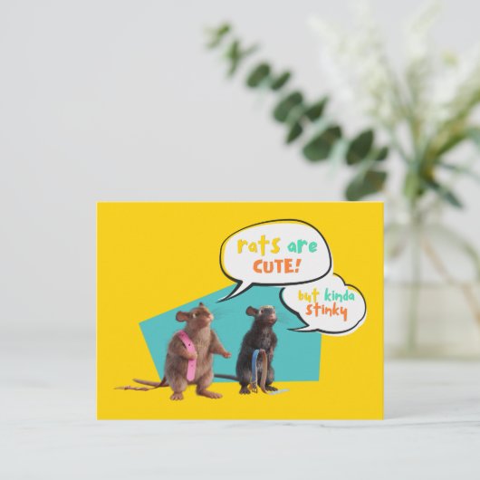 Carte Postale Les Rats Sont Mignons Mais Plutôt Stinky (Debout devant)
