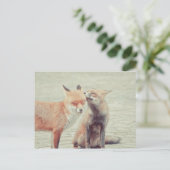 Carte Postale Les renards amoureux ! (Debout devant)