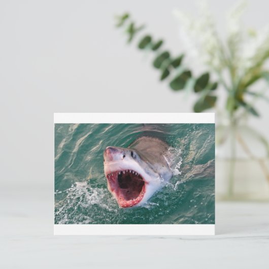 Carte Postale Les Requins Sortent De L'Océan (Debout devant)