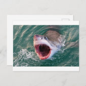 Carte Postale Les Requins Sortent De L'Océan (Devant / Derrière)