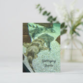 Carte Postale Les requins Wobbegong (Debout devant)