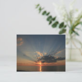 Carte Postale Les rêves de coucher du soleil (Debout devant)