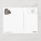 Carte Postale Les richesses (Dos)
