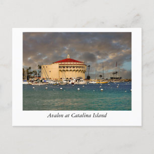 Carte Postale Les rivages enchanteurs d'Avalon, Catalina