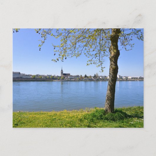 Carte Postale Les rives de la Loire à Saumur (Devant)