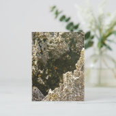 Carte Postale Les Rochers De L'Enfer (Debout devant)