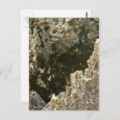 Carte Postale Les Rochers De L'Enfer (Devant / Derrière)