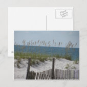 Carte Postale Les roseaux sur la plage (Devant / Derrière)