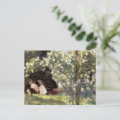 Carte Postale Les Roses de Kroyer (Debout devant)