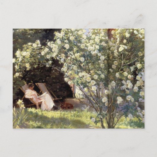Carte Postale Les Roses de Kroyer (Devant)