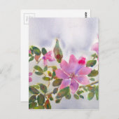 Carte Postale Les Roses de Nana (Devant / Derrière)