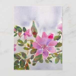 Carte Postale Les Roses de Nana