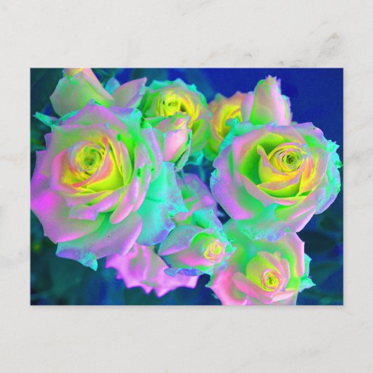 Carte Postale Les roses perle iridescentes (Devant)