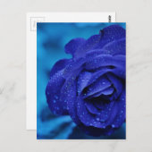 Carte Postale Les roses sont Bleus (Devant / Derrière)