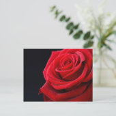 Carte Postale Les roses sont rouges (Debout devant)