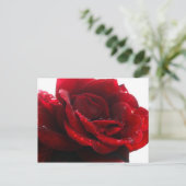 Carte Postale Les roses sont rouges (Debout devant)