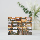 Carte Postale Les saveurs de la Provence (Debout devant)