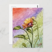 Carte Postale Les secrets de tournesol au coucher du soleil (Devant / Derrière)