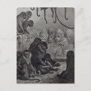 Carte Postale Les singes de Londres