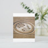 Carte Postale Les Soeurs Des Cercles De Cultures De Pleiades Fro (Debout devant)