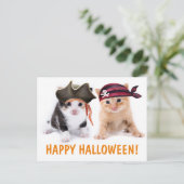 Carte Postale Les Soeurs Kitten Pirate Halloween (Debout devant)