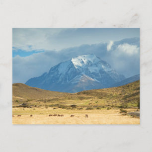 Carte Postale Les sommets des montagnes de Torres del Plains