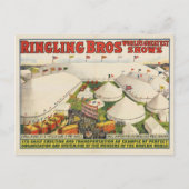 Carte Postale Les Sonneries. Cirque (Devant)