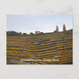 Carte Postale Les terrasses des Lavaux