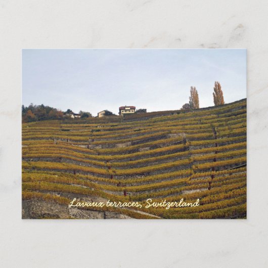 Carte Postale Les terrasses des Lavaux (Devant)