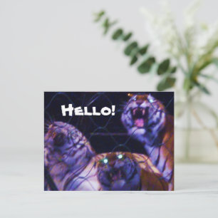 Carte postale LES TIGRES