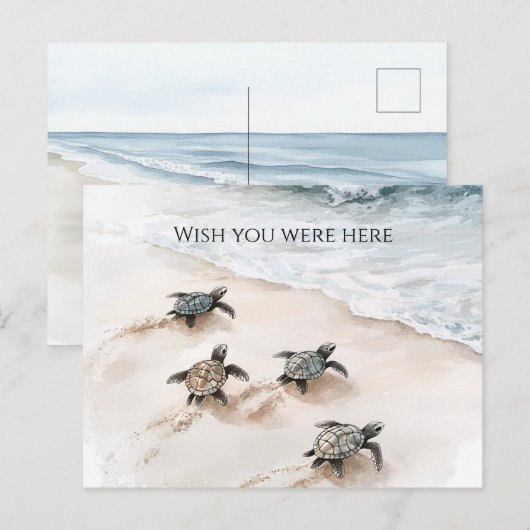 Carte Postale Les tortues de mer Ocean Beach Coast (Devant / Derrière)