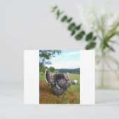Carte Postale Les Tortues incrédules (Debout devant)