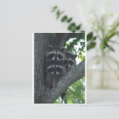 Carte Postale Les Trois Amigos (Debout devant)