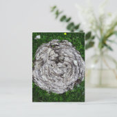 Carte Postale Les trucs de vache (Debout devant)