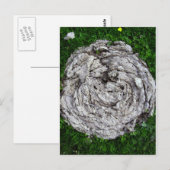 Carte Postale Les trucs de vache (Devant / Derrière)