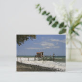 Carte Postale Les vacances balnéaires (Debout devant)